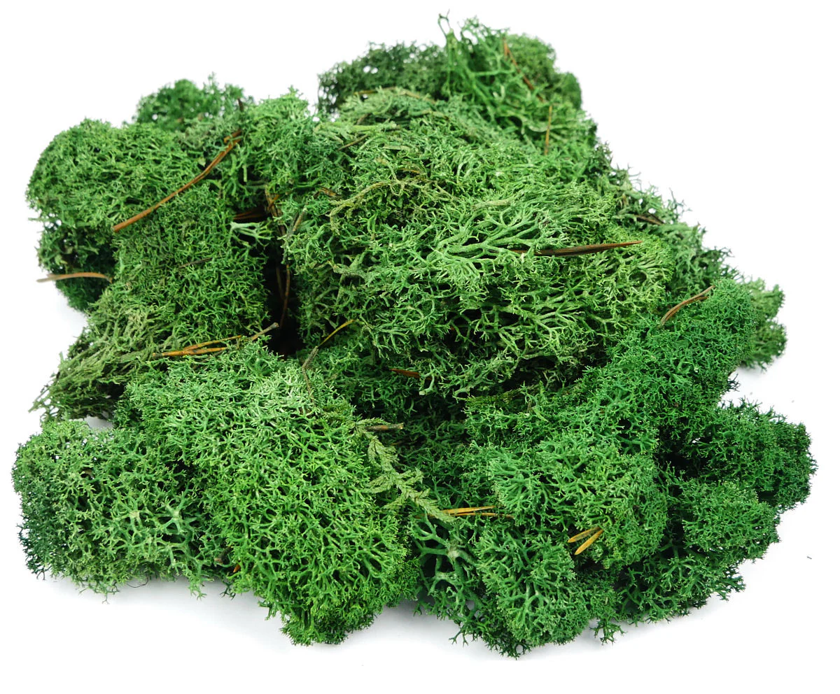 GM1602 Dark Green Lichen 80g