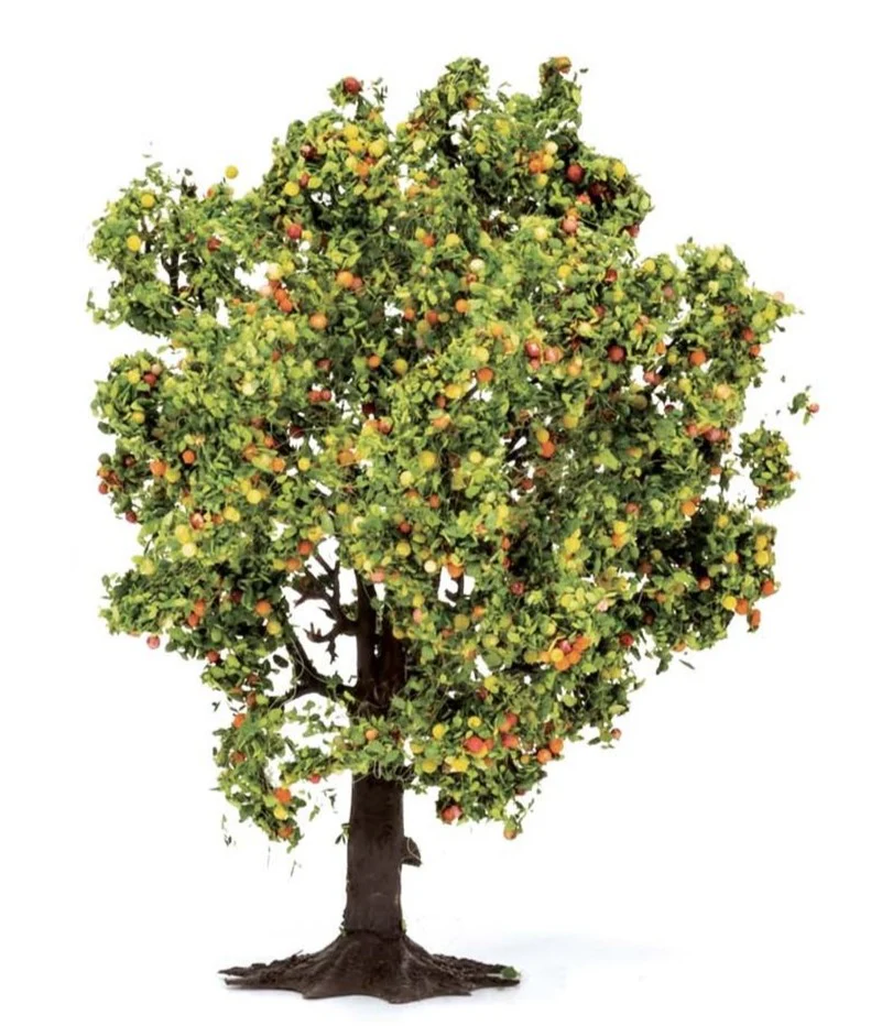 R7213 Apple Tree with Fruit