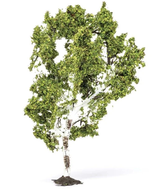 R7215 Birch Tree