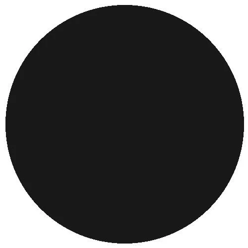 2419 Matt Black (Acrylic) (18ml)