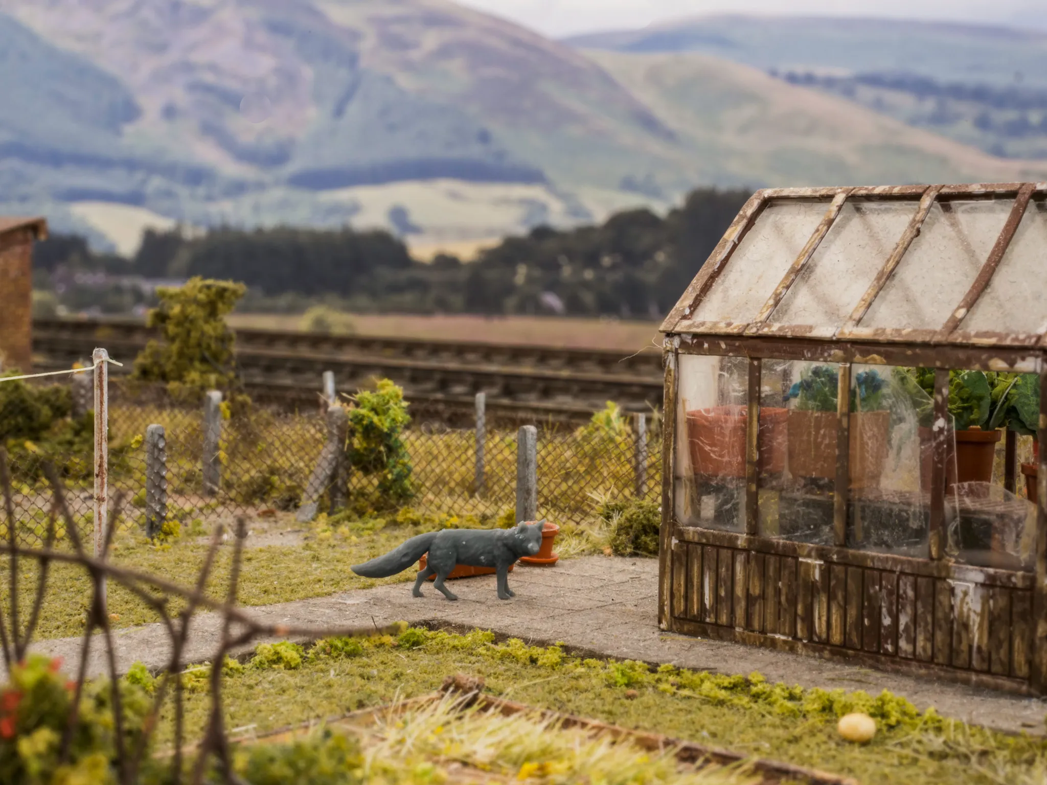 31101-148 N Gauge Pets, Wildlife & Livestock - Foxes - Pack of 2 - Image 3