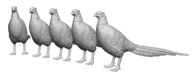 31406-043 O Gauge Pets, Wildlife & Livestock - Pheasants - Pack of 5