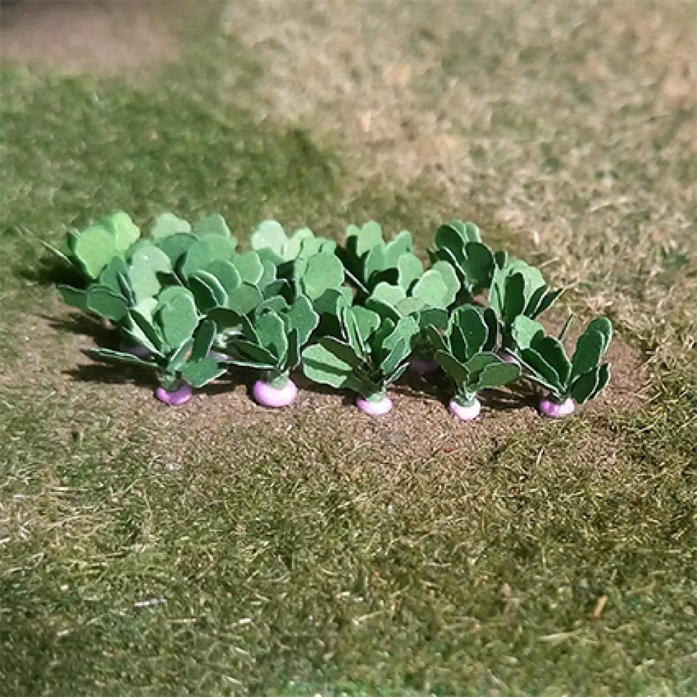 01005 Turnips (14)