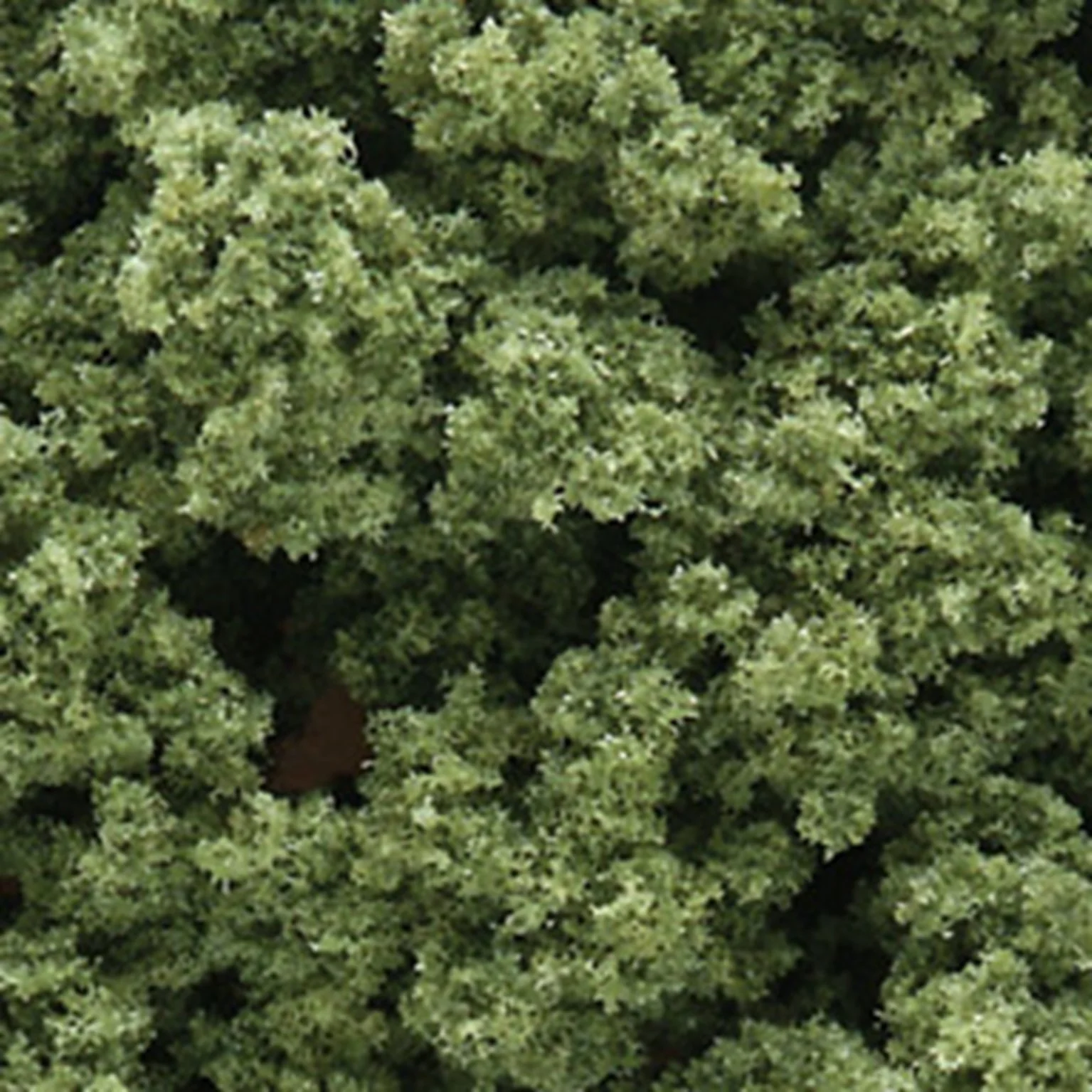 FC135 Light Green Underbrush (Bag) - Image 2