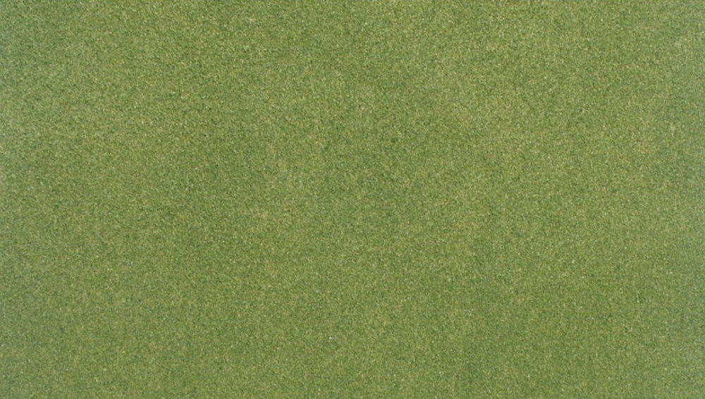 25 X 33 inch Spring Grass Ready Grass Roll